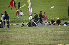 Venice kite festival_0532